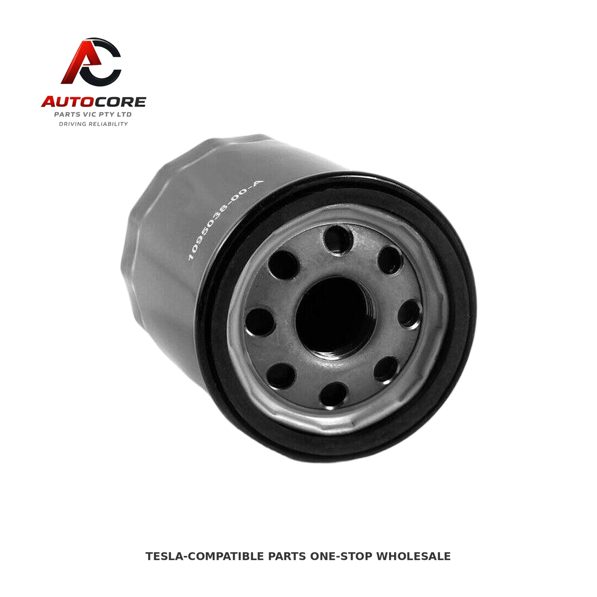 Oil Filter for Model 3/Model Y/MSMX (Part Number: 1095038-00-B-c)