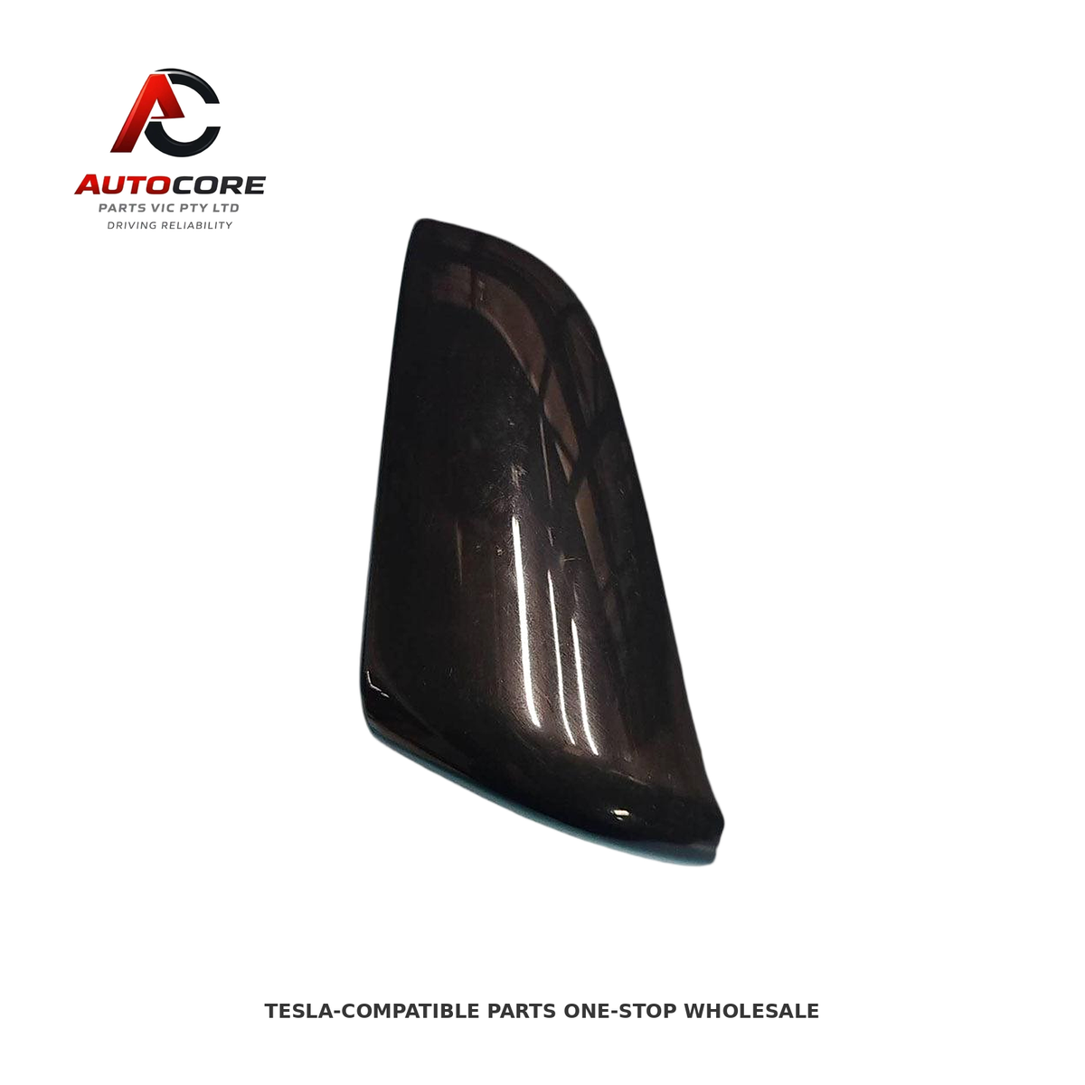 Left Side Mirror Cover / Skull Cap for Tesla Model Y (Part Number: 1495593-00-C)